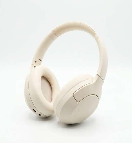 Removable Battery Earphone LX-Y08